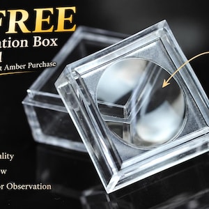 Pode incluir: Uma caixa de observação quadrada de plástico transparente com uma lupa circular integrada na tampa. O texto na imagem inclui 'FREE Observation Box Included with Every Insect Amber Purchase', 'Built-in Magnifier', 'High Quality', 'Clear View' e 'Perfect for Observation'.
