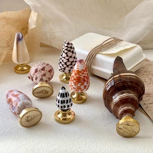 May include: A collection of seven wax seal stamps featuring various natural seashell handles in shades of brown, white, orange, and black. Each stamp has a polished gold-tone metal base, with some showing engraved seashell designs on the flat circular faces.