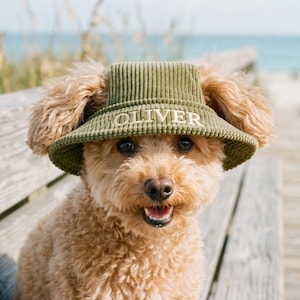 Personalized Dog Sun Hat, Custom Name Embroidered Pet Bucket Hat, Corduroy Puppy Hat, Pet Summer Gift