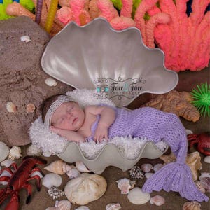 May include: A newborn baby wearing a purple crocheted mermaid tail costume is sleeping in a white seashell. The baby is wearing a sparkly headband. The seashell is surrounded by seashells and a red lobster toy.