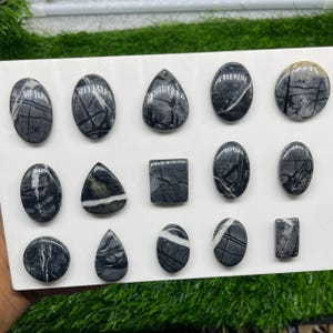 May include: A collection of fourteen polished cabochons arranged on a white display board. Each stone is dark gray to black with distinct white veining and patterns. The shapes include ovals, teardrops, a square, and a small rectangle.