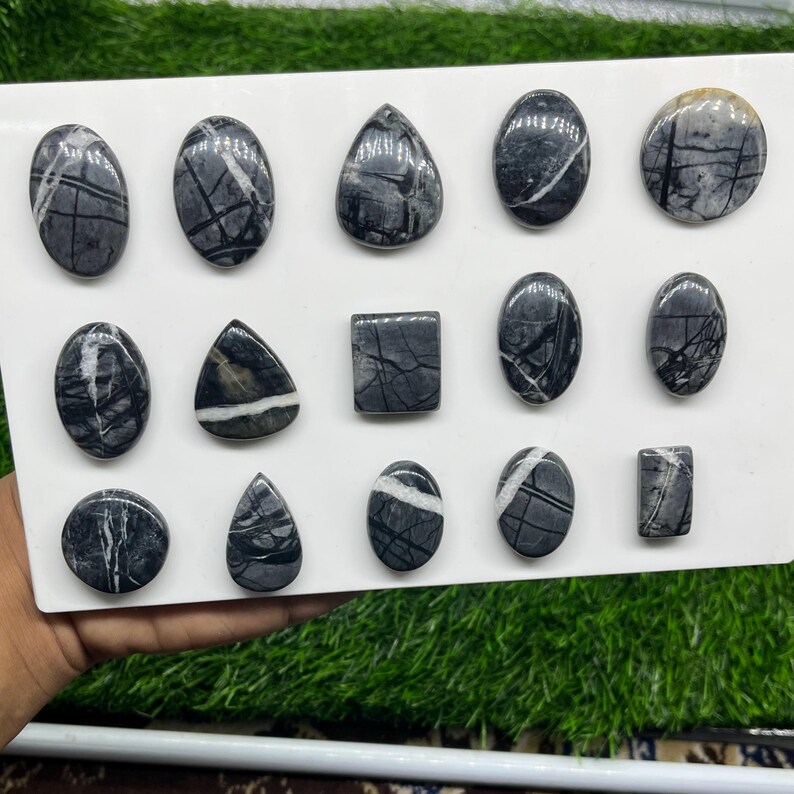 May include: A collection of fourteen polished cabochons arranged on a white display board. These stones are primarily dark gray and black with intricate white veining and patterns. The shapes include ovals, circles, triangles, and rectangles.