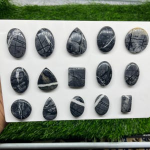 May include: A collection of fourteen polished cabochons made of dark gray stone with prominent white veining. The stones are arranged in three rows on a white display board, featuring various shapes including ovals, teardrops, rectangles, and circles.