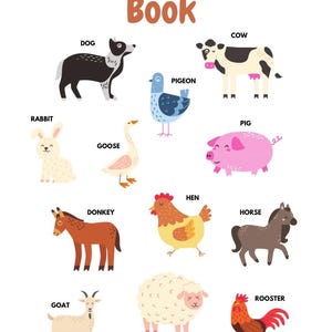 May include: An activity book page titled Name's Activity Book featuring colorful illustrations of a dog, cow, pigeon, rabbit, goose, pig, donkey, hen, horse, goat, sheep, and rooster, each labeled with its corresponding name in black text.