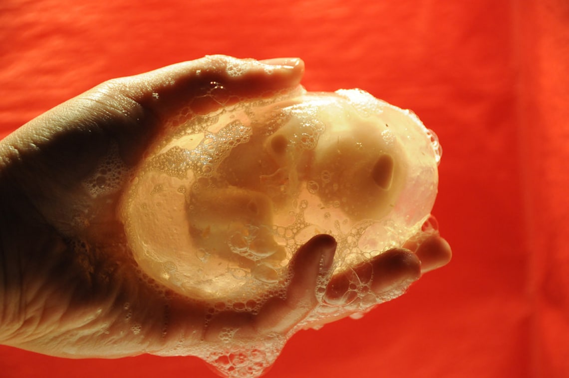 Human Fetus Soap