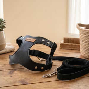 Custom Dog Harness, Leather Chest Harness, Personalized Name Patch, Minimalist Pet Supplies, Dog Harness and Leash Set, Fun Puppy Gift