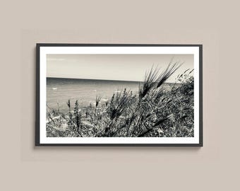 Lámina en blanco y negro con estampado de hierba costera / Fotografía artística de naturaleza marina / Descarga digital de arte mural oceánico
