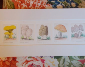 Five edible mushrooms is an original etching  created by Newport artist, Parks Beach