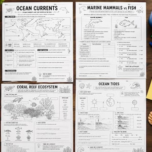 May include: Four educational worksheets printed on white paper with black text and line art illustrations. The topics include Ocean Currents, Marine Mammals vs Fish, Coral Reef Ecosystem, and Ocean Tides, featuring diagrams, word banks, and questions.