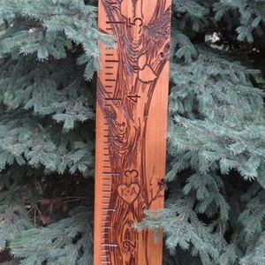 Growth Ruler With Engraved Tree