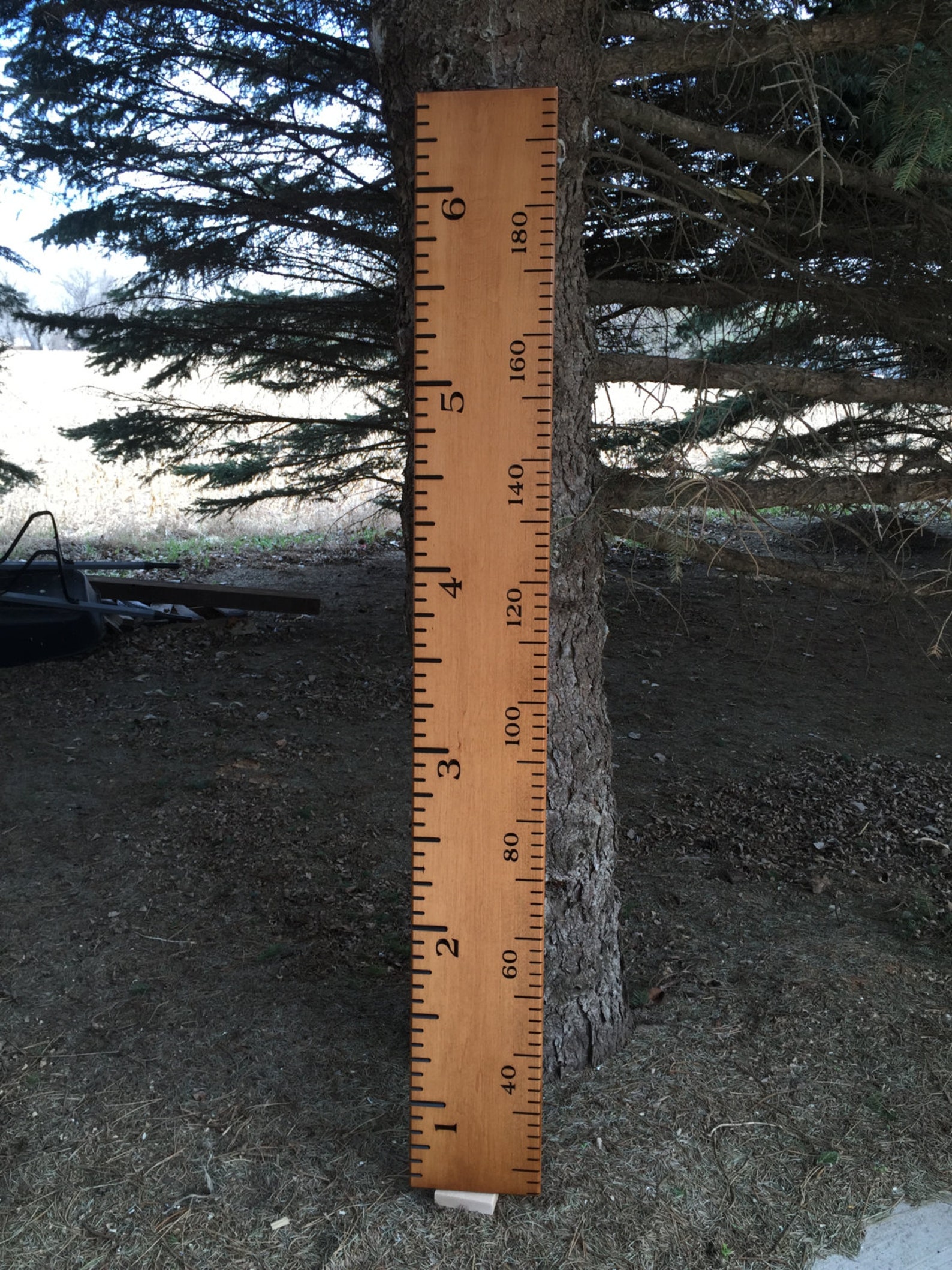 Engraved Wood Ruler Growth Chart Inches & Metric Life Size Etsy