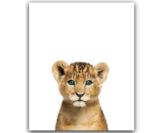 Sans Cadre Lion Cub Portrait Bebe Animaux Pepiniere Decor Etsy