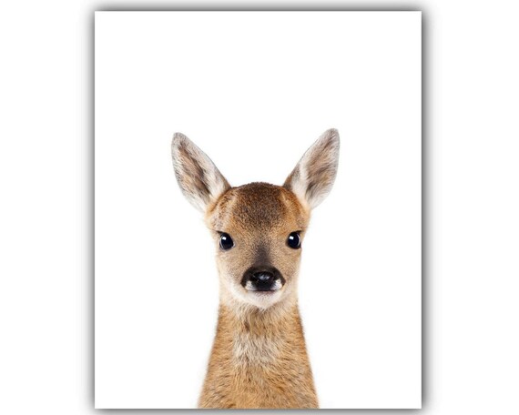 Sans Cadre Portrait Fauve Bebe Animaux Pepiniere Decor Mural Etsy