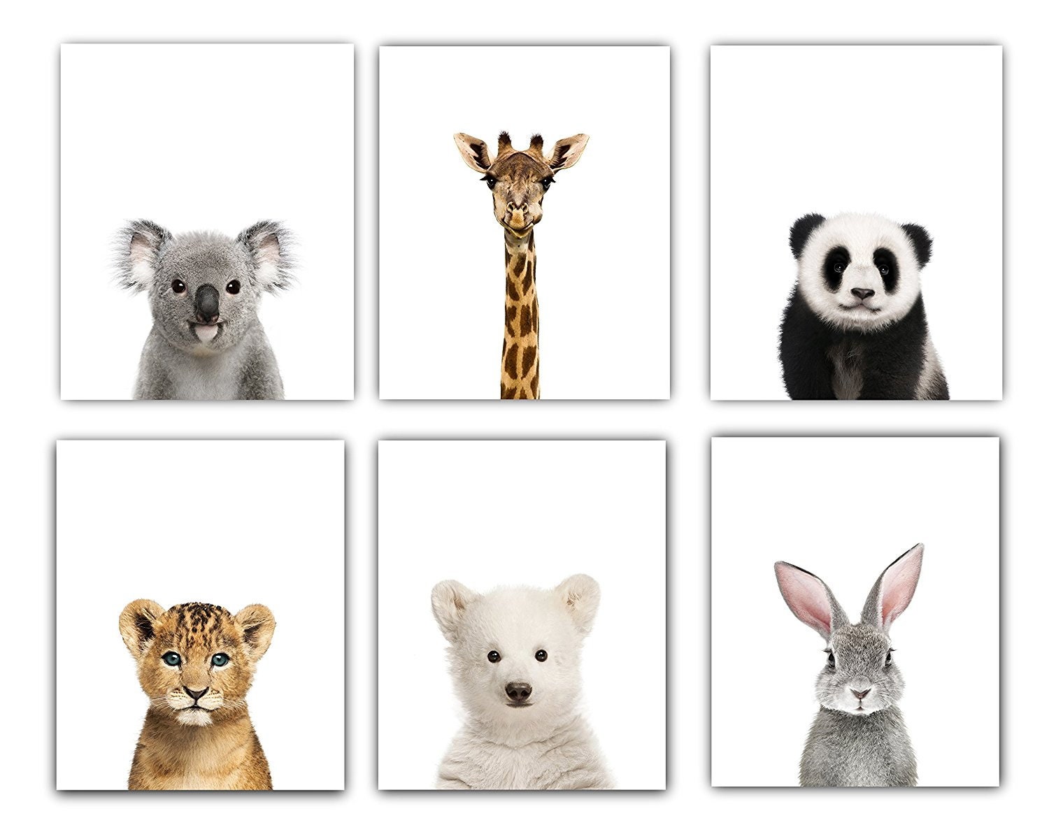 Set of 6 UNFRAMED Baby Room Decor Nursery Prints Cute Animal - Etsy Set of 6 UNFRAMED Baby Room Decor Nursery Prints Cute Animal - Etsy