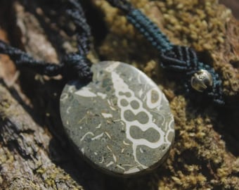 May include: A circular pendant featuring a polished gray stone with embedded white fossilized shell patterns. The pendant is suspended from a black braided cord that includes a small silver-toned metal bead accent near the top.