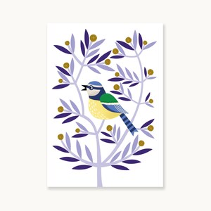 CARTÃO POSTAL "Blaumeise"