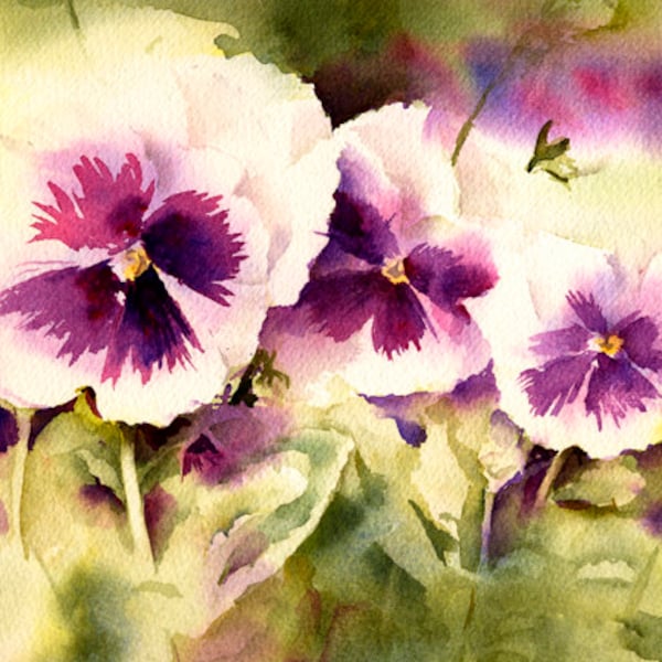 Pansy Watercolor Paintings Etsy Il 600x600.3233119927 Ixsl