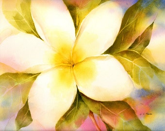 Plumeria Watercolor Print from Original Watercolor by Connietownsart, Plumeria Painting