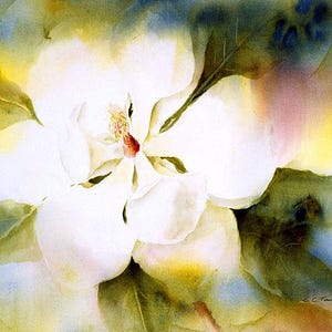 Magnolia Floral Print from Original Watercolor Painting by Connietownsart, Watercolor Flowers, Gift for Mom