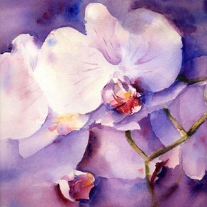 Purple Floral Watercolor, Orchid Art Print, Orchid Watercolor Painting by Connietownsart