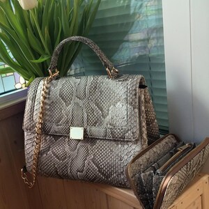 May include: A structured handbag and a matching zip-around wallet, both featuring a grey and white snakeskin pattern. The handbag has a top handle, a gold-tone chain shoulder strap, and a rectangular gold-tone metal clasp on the front flap.