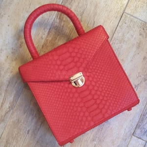 May include: A square-shaped red handbag with a textured snakeskin pattern. The bag features a single rounded top handle and a gold-toned metal push-lock closure on the front flap. The text "Amphibialtin" is embossed on the front flap.