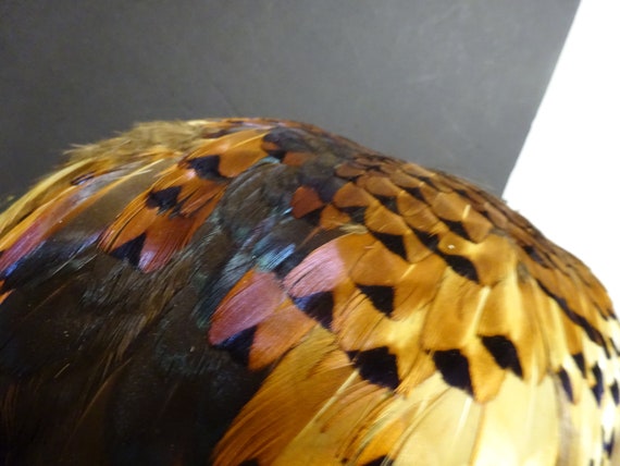 woman's hat, pheasant feather cap, mid-century - image 5