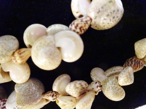 Vintage Tiny Shell Necklace: 36 Inch Continuous S… - image 3