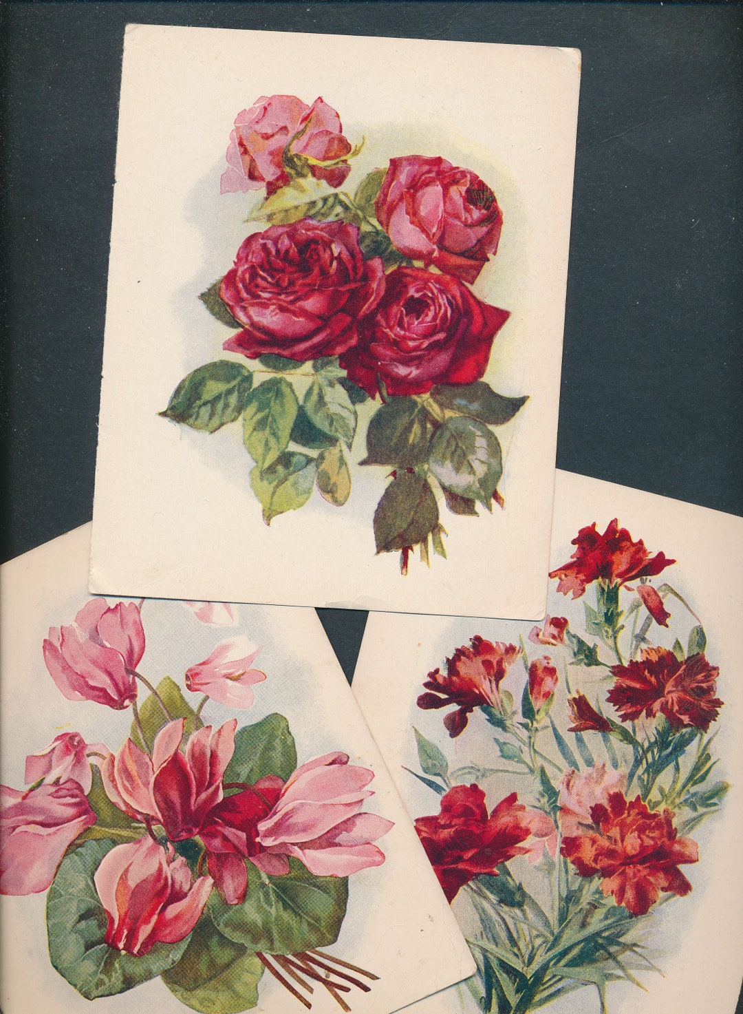 3 Authentic Botanical Bookplate Illustrations, Roses, Cyclamen, Carnations, Poems, 1909 Etsy