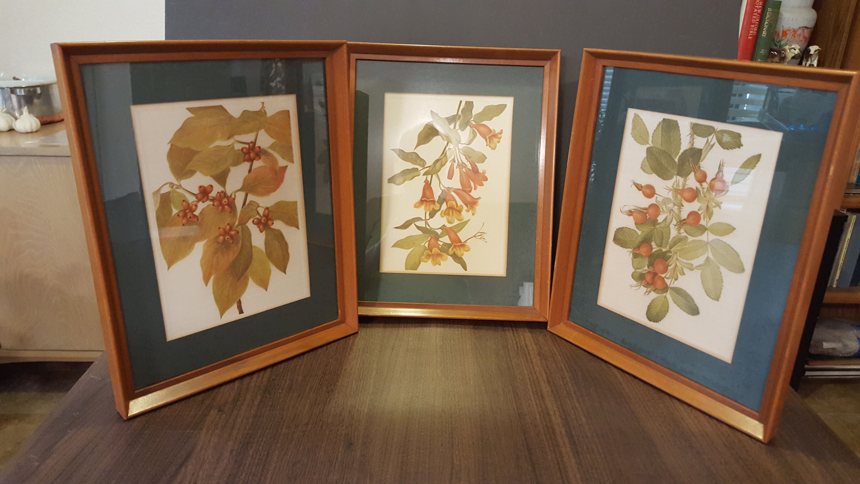 Set of 3 framed matching botanical prints lovely colors Etsy