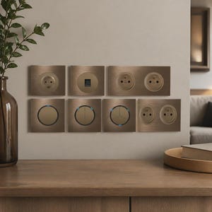 Könnte beinhalten: Eine Sammlung von acht Wand-Elektrokomponenten mit gebürstetem Bronze-Finish. Das Set enthält verschiedene Konfigurationen von Steckdosen, einen Datenanschluss und Lichtschalter mit kreisförmigen Designs und kleinen blauen Kontrollleuchten.