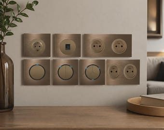 Interruttore a parete in alluminio spazzolato marrone stile retrò con presa EU FR UK e indicatore LED.