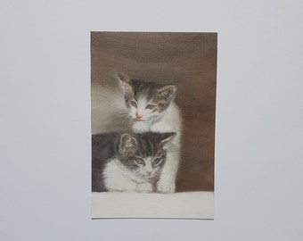 Young cats, original oil painting