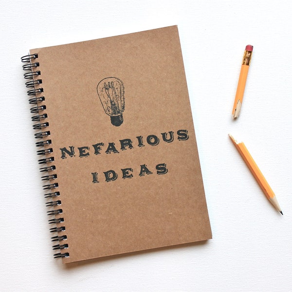 funny notebook Nefarious Ideas journal LAST ONE