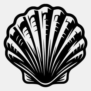 May include: A high-contrast black and white graphic illustration of a scallop shell. The design features bold, radiating ridges and deep shadows, creating a stylized representation of a fan-shaped seashell with a scalloped edge and symmetrical form.