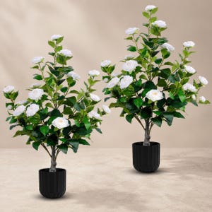 Set med 2 konstgjorda vita kameliaträd, 84 cm höga konstgjorda växter, äkta blommor