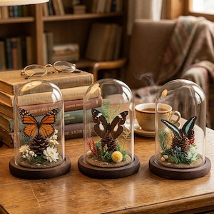 Miniatur Schmetterling Terrarien, Schmetterling Exemplare, Wohnkultur, Desktop Sammlerstücke, Familienandenken, Geburtstagsgeschenke.
