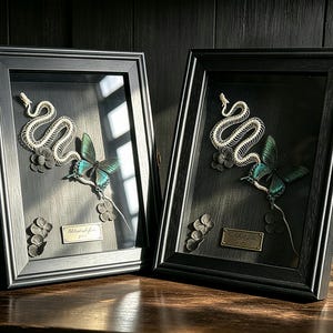 Pode incluir: Dois quadros retangulares pretos tipo caixa de sombra contendo um esqueleto de cobra branco, uma borboleta azul-petróleo e preta, e pétalas de flores cinza-escuras. Cada quadro possui uma pequena placa de metal dourado com texto gravado.