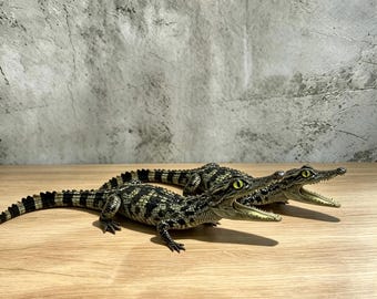 Ejemplares de reptiles, ejemplares reales de cocodrilos, reptiles, decoración de biblioteca de estilo universitario oscuro, regalos de Halloween.
