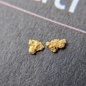 May include: Two small, raw gold nuggets with irregular, textured surfaces and a metallic yellow luster. The nuggets are positioned side-by-side, displaying natural, jagged edges and a porous, uneven composition characteristic of unrefined precious metal.
