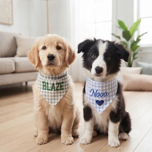 May include: A golden retriever puppy wearing a grey and white gingham bandana embroidered with the name BLAZE in green, and a black and white border collie puppy wearing a light blue and white gingham bandana with the name Nova and a heart.