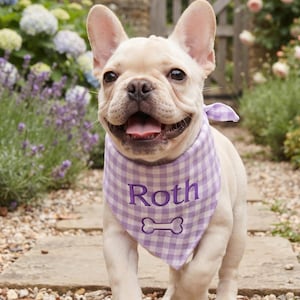 May include: A cream-colored French Bulldog wearing a light purple and white gingham patterned bandana. The bandana features the embroidered name Roth in dark purple thread above a white embroidered bone icon, tied with a small knot.