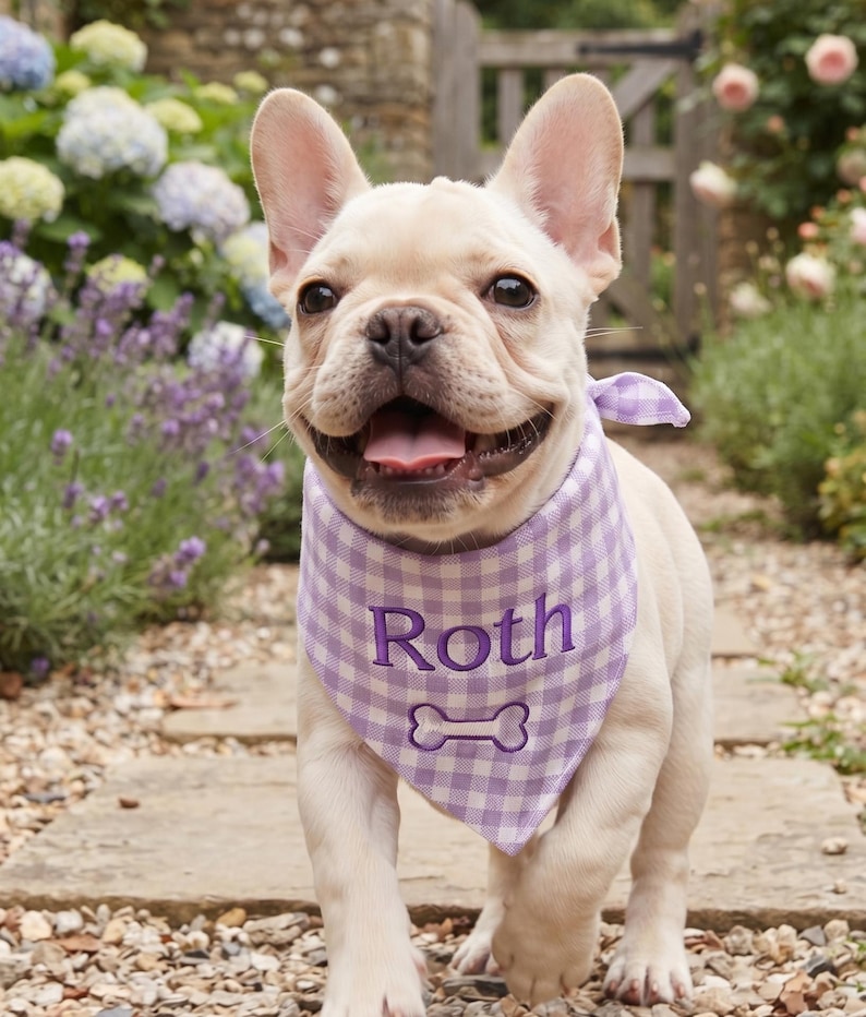 May include: A cream-colored French Bulldog wearing a light purple and white gingham patterned bandana. The bandana features the embroidered name Roth in dark purple thread above a white embroidered bone icon, tied with a small knot.