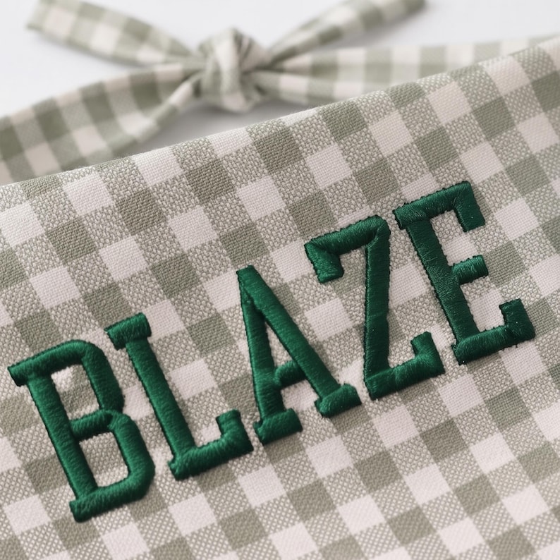 May include: A sage green and white gingham fabric accessory featuring the word BLAZE embroidered in dark green capital letters. The item includes a tied fabric strap at the top, showcasing a classic checkered pattern and textured stitching.