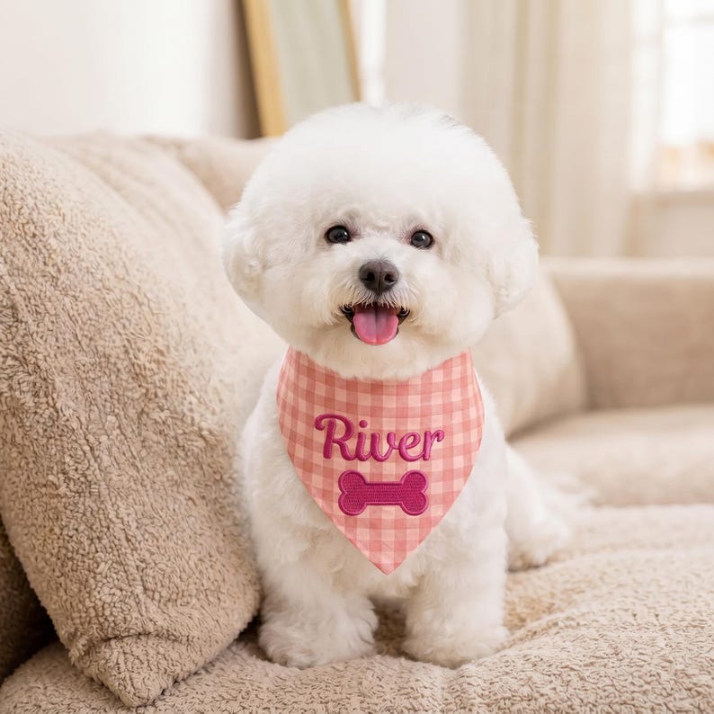 May include: A white Bichon Frise dog wearing a pink and white gingham patterned pet bandana. The bandana features the embroidered name River in dark pink script lettering above a dark pink embroidered dog bone shape centered on the fabric.