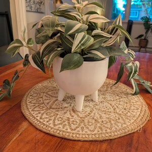May include: A potted plant with variegated green and white leaves sits in a smooth, matte white ceramic planter with three short, rounded legs. The plant features pointed, lance-shaped foliage with distinct white stripes along the veins.