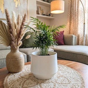 Peut inclure: Une petite plante verte de type palmier nain dans un pot en céramique blanc lisse, placée à côté d'un vase en céramique beige moucheté rempli d'herbe de la pampa séchée et d'une feuille de palmier, le tout sur un napperon en jute tressé.
