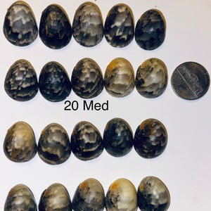 May include: Twenty medium-sized, speckled, egg-shaped stones in shades of gray, black, and cream are arranged on a white surface. The text "20 Med" is visible. A U.S. nickel is included for size comparison.