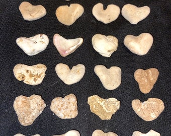 Natural Heart Coral Rocks Valentines Day Beach Stones Kauai Small/Med