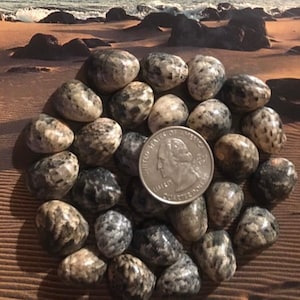 May include: A collection of speckled, oval-shaped stones in shades of gray, brown, and cream, arranged in a circular pattern. A United States quarter coin is centered among the stones. The background shows a beach scene.